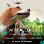 ZenPaw Seasonal Allergy & Immune Support for Dogs
