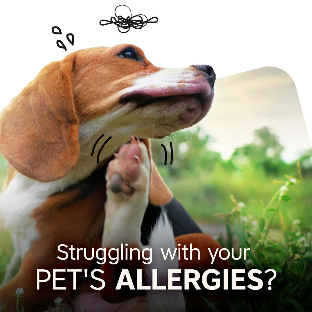 ZenPaw Daily Allergy Immune Relief for Dogs – Vet-Formulated Soft Dog Allergy Chews to Support Itchy Skin and Itchy Ears, 90 Tasty Beef Dog Supplements