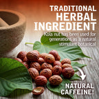 JACCOUD POTION - Kola Nut Elixir | 4 Fl Oz | 1-Pack