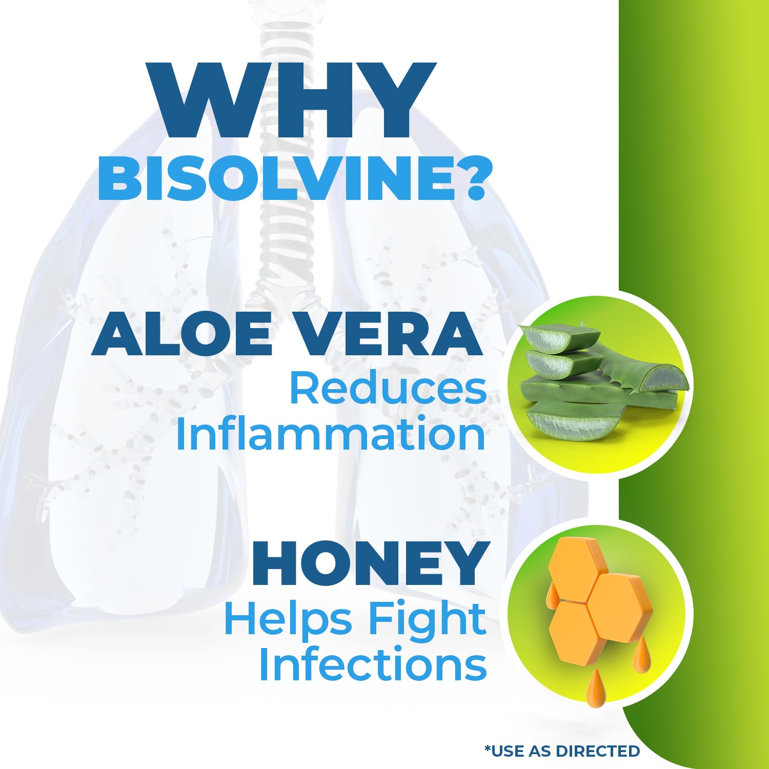 Bisolvine Aloe-Miel